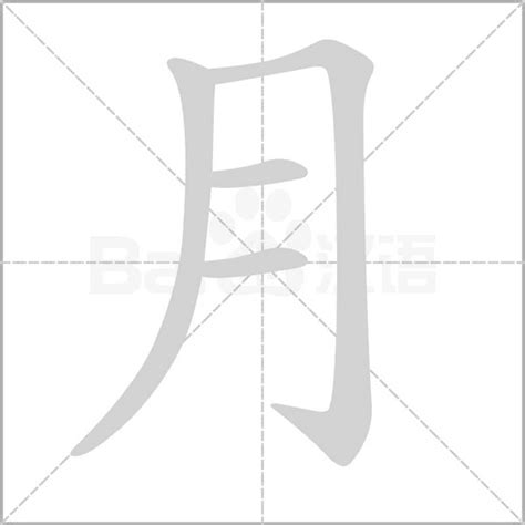 月字部首的字|月字旁的字有哪些,部首为月的汉字大全